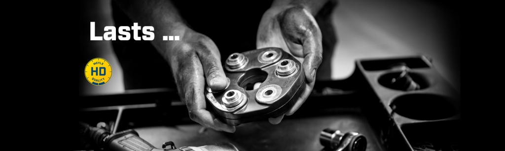 cao su cac dang Meyle HD